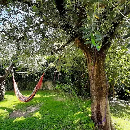 Le Palme דירה סונה