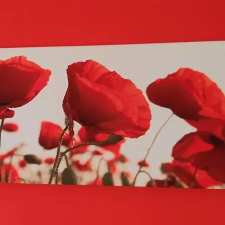 Le Palme Lägenhet *