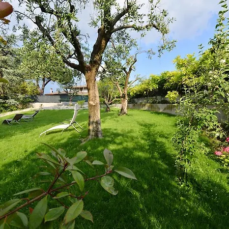 Le Palme Lägenhet Sona