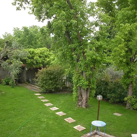 Le Palme Apartament *