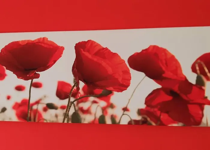 Le Palme Apartment *